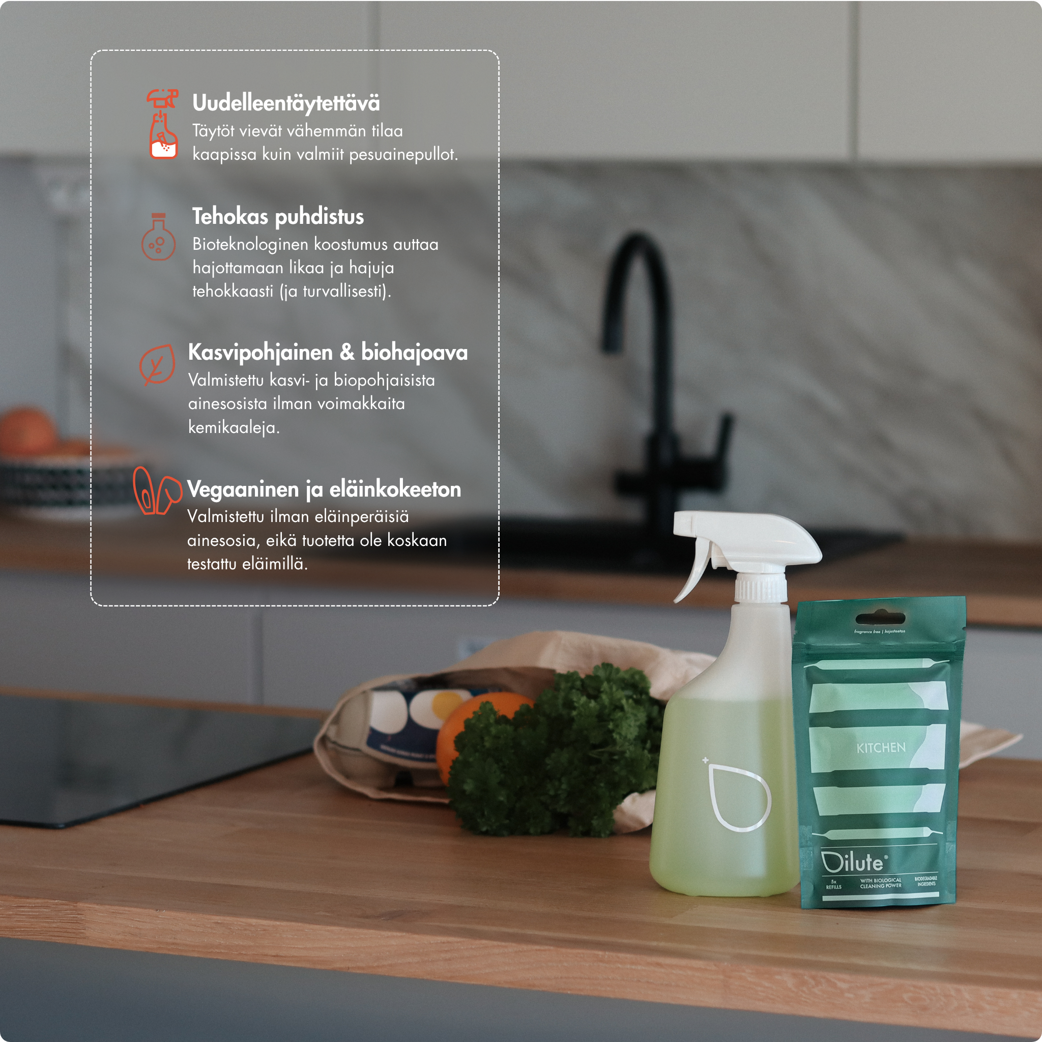 Kitchen Cleaner Starter Set